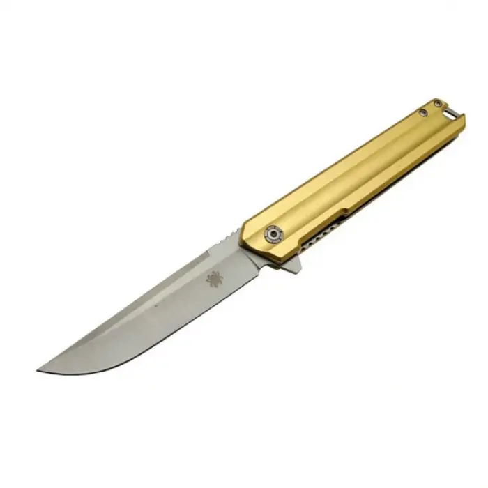 Spyderco Çakı Gold B401-3 22 CM