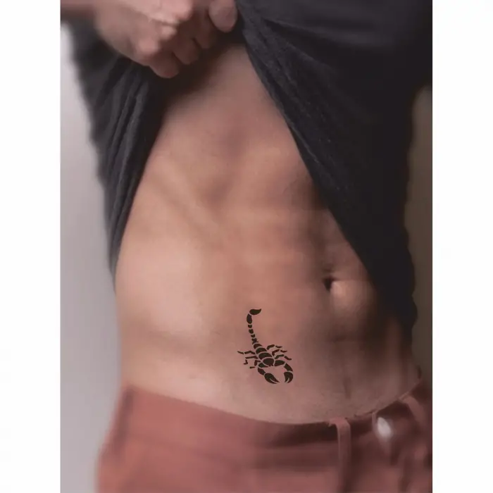 Vahşi Akrep Tattoo Geçici Dövme Şablonları Kına Kalıpları