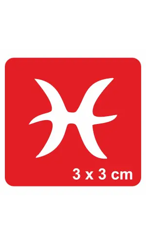 Balık Burcu Tattoo Geçici Dövme Şablonları Kına Kalıpları