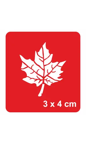 Çınar Yaprağı Tattoo Geçici Dövme Şablonları Kına Kalıpları