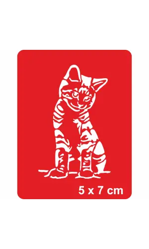 Güzel Kedi Tekir Tattoo Geçici Dövme Şablonları Kına Kalıpları