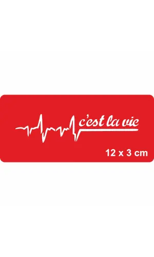 Hayat Budur!(Fransızca) Tattoo Geçici Dövme Şablonları Kına Kalıpları