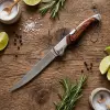 Knivox Columbia Company A-030-A Ahşap Kabze Kamp Çakısı