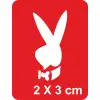 Aşk Tavşanı Playboy Tattoo Geçici Dövme Şablonları Kına Kalıpları