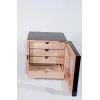 AlsepeteAvm Humidor PHUM0206
