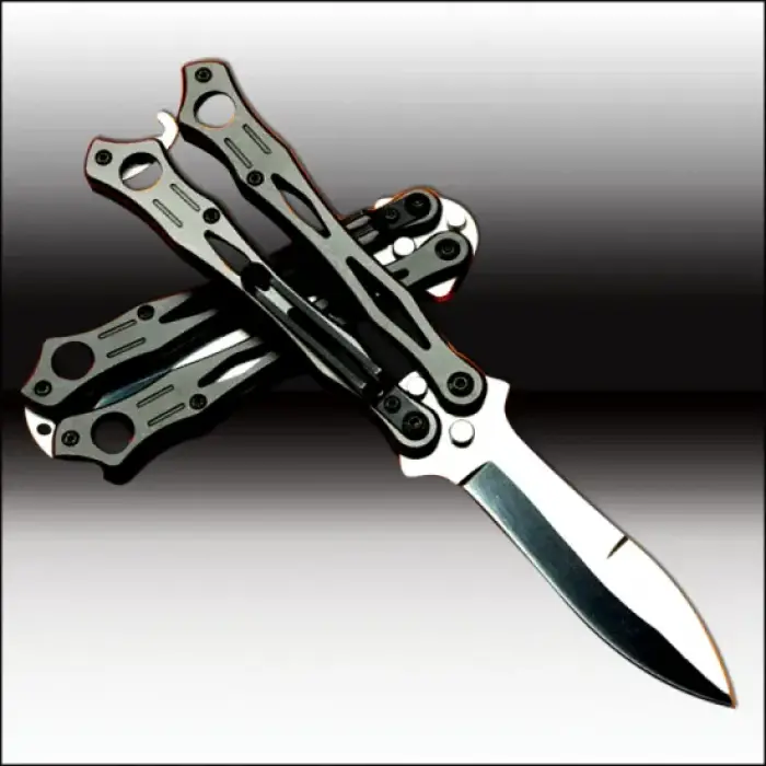 AlsepeteAvm Keskin Olmayan Eğitim Kelebek – Acemilere Uygun