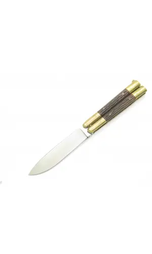 AlsepeteAvm Turkuaz Dal Desenli Kelebek – Serinlik Hissi