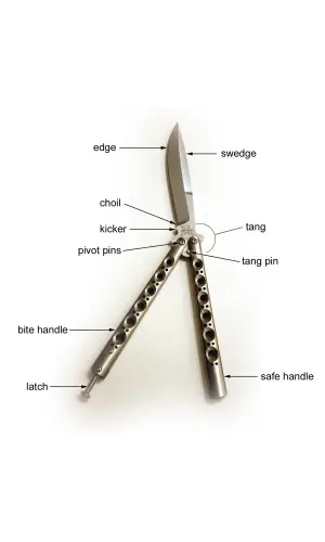 AlsepeteAvm Doğum Günü Kelebek Seti – İsimli