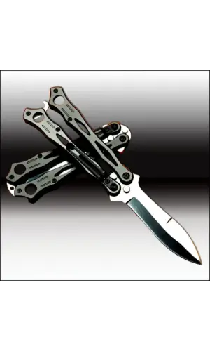 AlsepeteAvm Keskin Olmayan Eğitim Kelebek – Acemilere Uygun