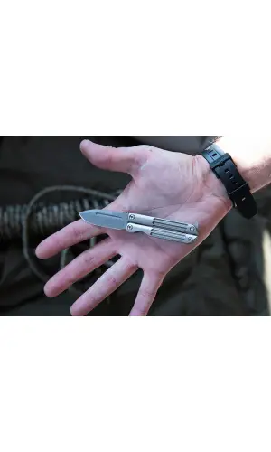 AlsepeteAvm Gökkuşağı Ejderha Kelebek – Renkli Tasarım