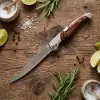 Knivox Columbia Company A-030-A Ahşap Kabze Kamp Çakısı