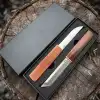Super Knife D2 Tanto Çifli Avcı Bıçağı