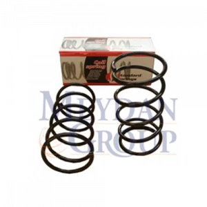 PEUGEOT 106 ÖN HELEZON YAYI 2Lİ SET