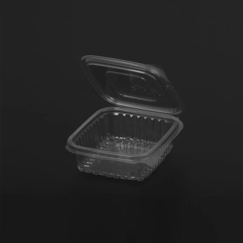 Sızdırmaz 150 Gr Kare Taşıma Kabı Pet Şeffaf