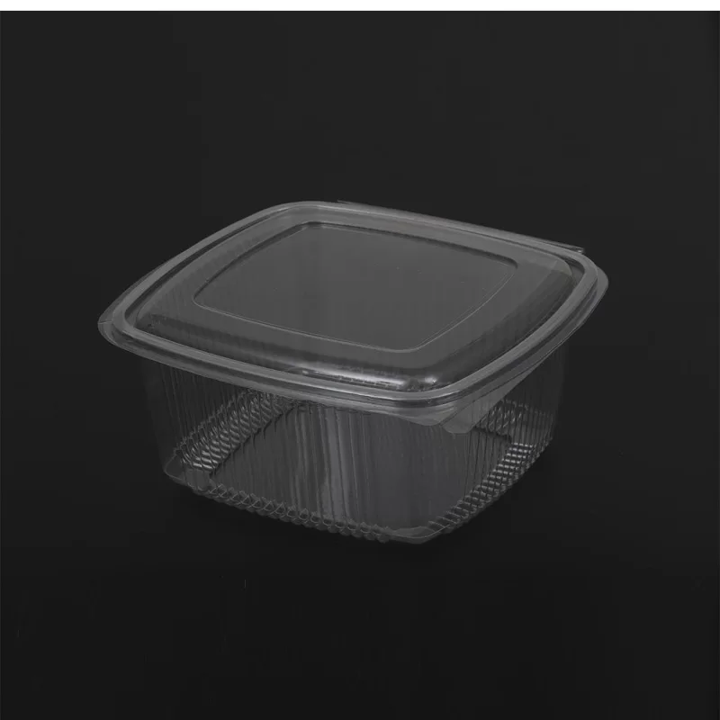 Sızdırmaz 1500 Gr Kare Taşıma Kabı Pet Şeffaf