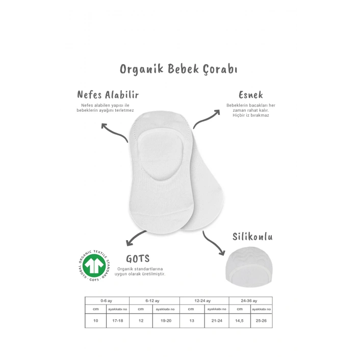 Bistyle 2li Penye Babet Silikonlu Basic Çorap 30104 Gri Beyaz