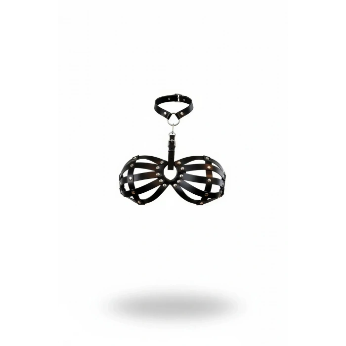 Siyah Göğüs Harness Kafes Detaylı Zımbalı Boyunluk - Brf224