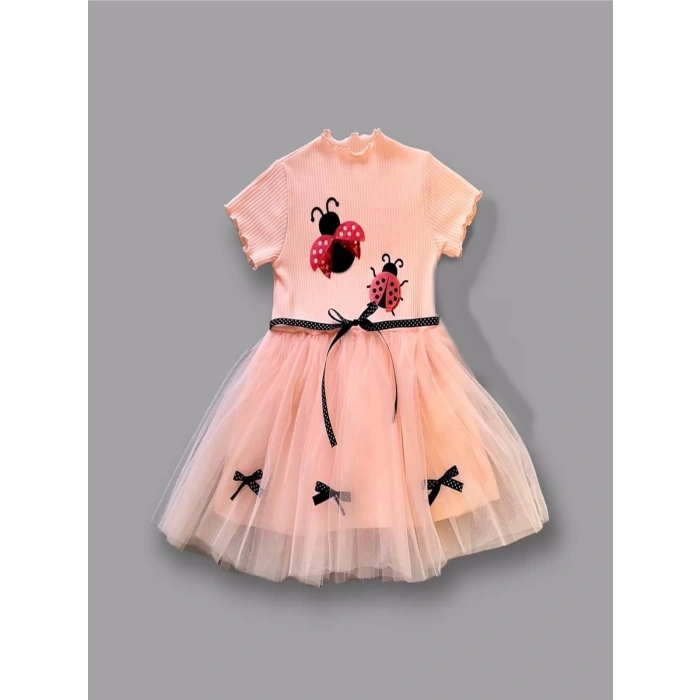 Uğur Böceği Nakışlı Kurdela Kuşak Kız Çocuk Elbisesi Somon