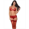 Fantezi Mini Etekli Seksi Kırmızı Jartiyer Takım