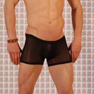 Br030919  Erkek  Boxer Çamaşır