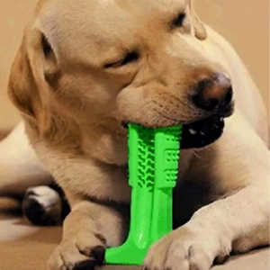 Köpek Diş Temizleyici Ve Kaşıyıcı Sağlıklı Küçük Boy Oyuncak