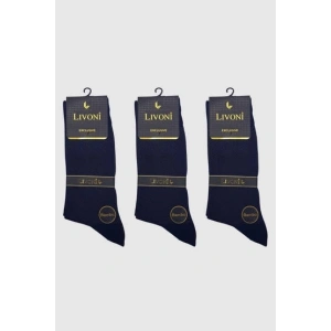 Livoni Dikişsiz Bambu Erkek  Çorap