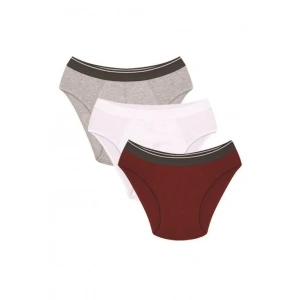 Moda Erkek Pamuk 3lü Bordo Beyaz Gri Likralı Slip