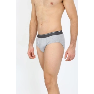 Moda Erkek Pamuk Likralı Slip Gri