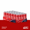 Bixi Cola 250 ml × 24’lü