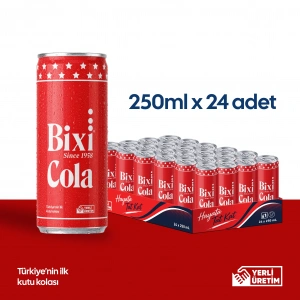 Bixi Cola 250 ml × 24’lü
