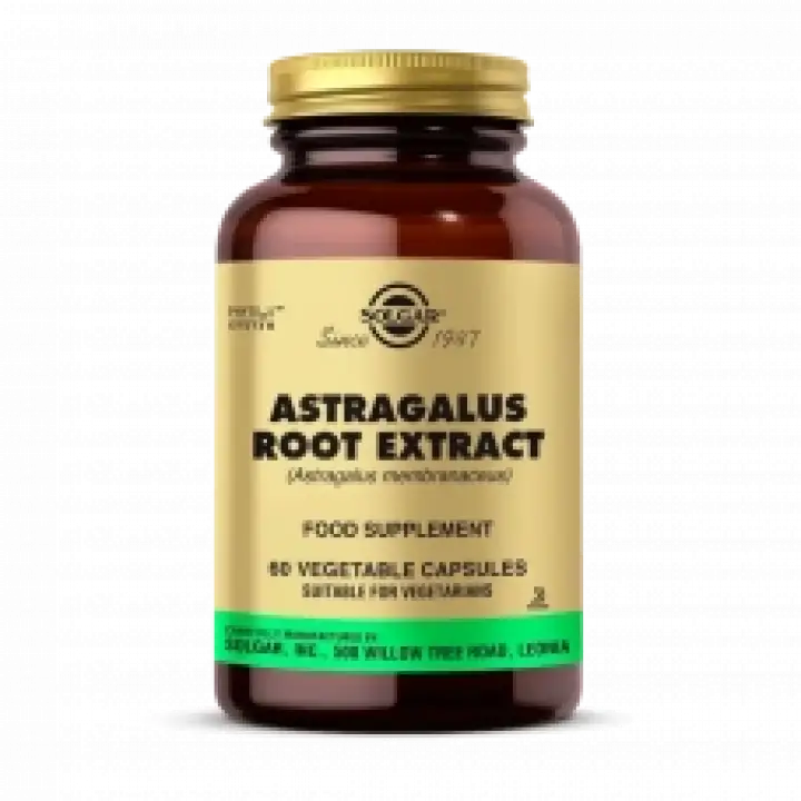 Astragalus Root Extract 60 Kapsül