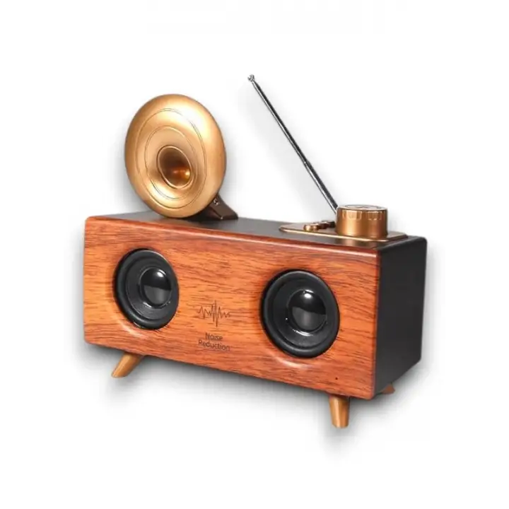 B6 SPEAKER HOPARLÖR