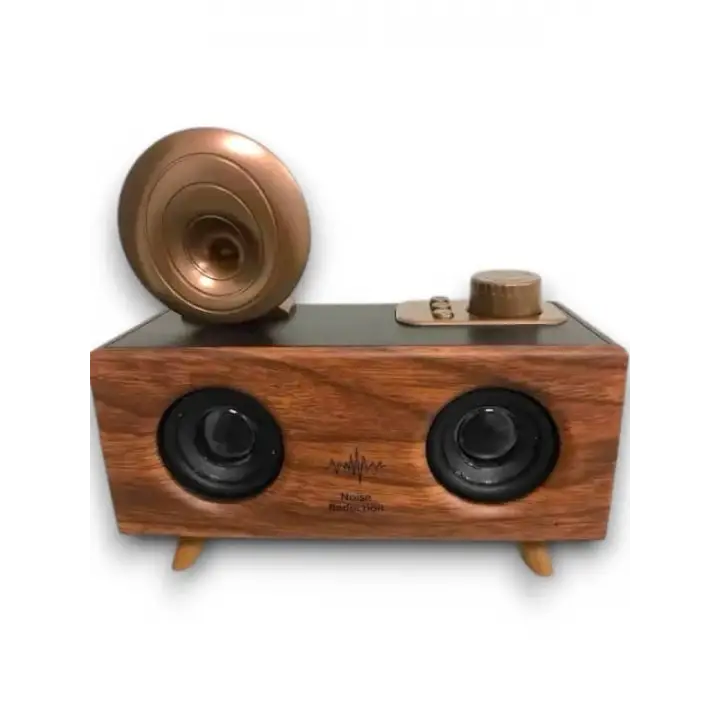 B6 SPEAKER HOPARLÖR