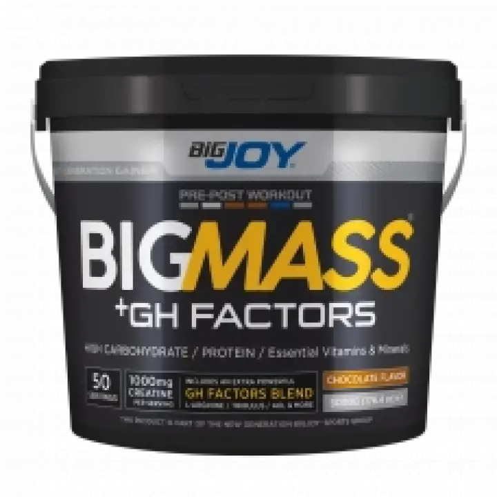 Big Mass +GH Factors Çikolata 5000 Gr