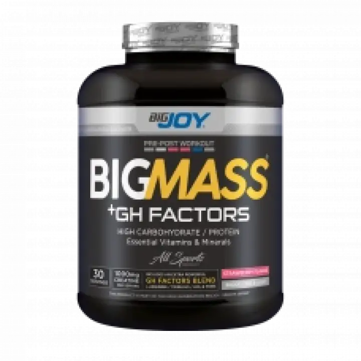 Big Mass +GH Factors Çilek 3000 Gr
