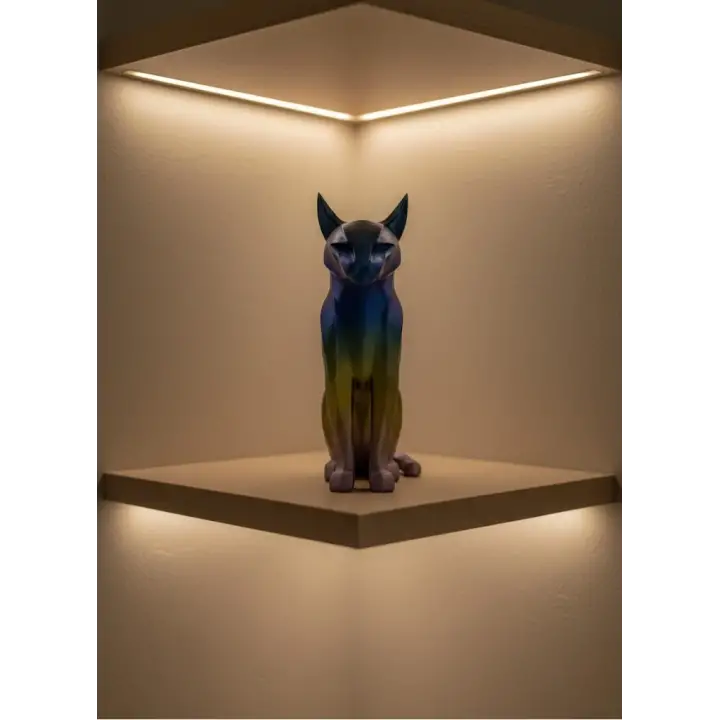 KOYU RAİNBOW KEDİ