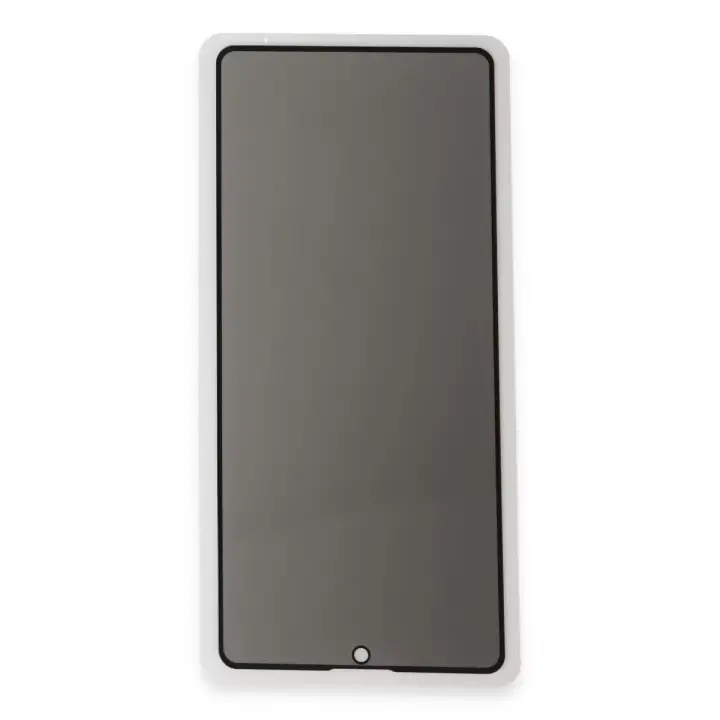 Newface Apple iPhone 12 Pro Max 3D Antistatik Hayalet Cam Ekran Koruyucu