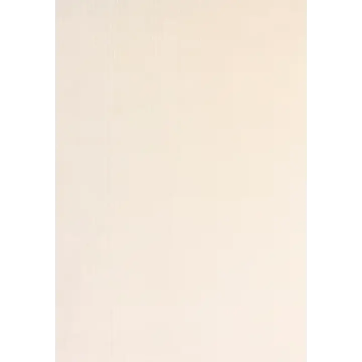 YoudayHomeCollection POLY 100X250