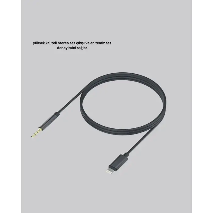 İPHONE AUX