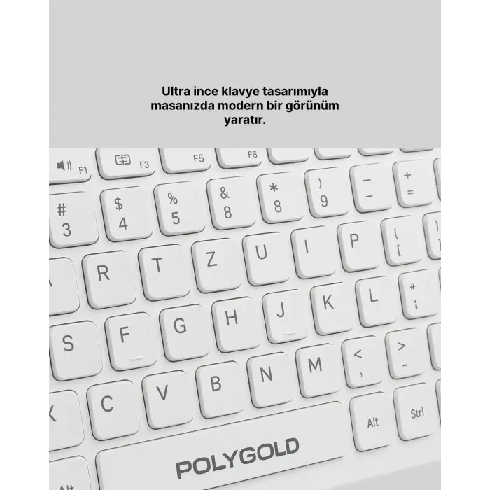 PG-8040 KLAVYE VE MOUSE SETİ