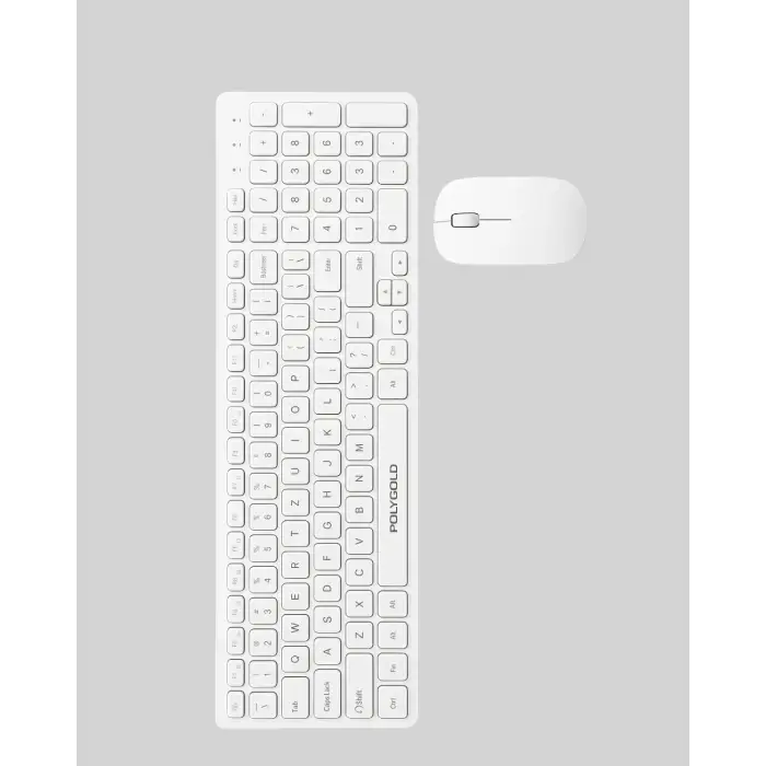 PG-8040 KLAVYE VE MOUSE SETİ