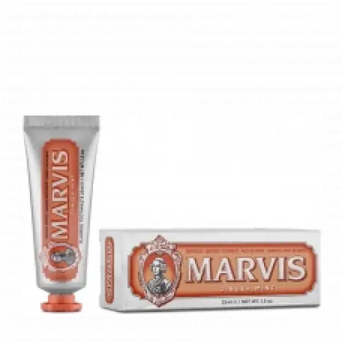 Ginger Mint Diş Macunu 25 ml