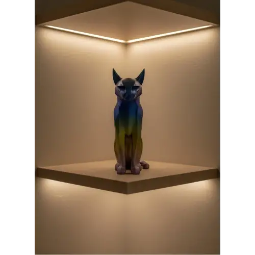 KOYU RAİNBOW KEDİ