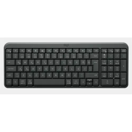 Logitech 920-013460 K250 Kablosuz Bluetooth Siyah Klavye
