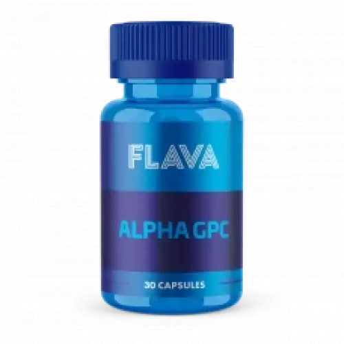 Ocn Alpha GPC 30 Kapsül