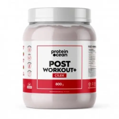 Post Workout Şeftali 720 Gr