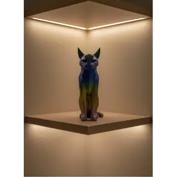 KOYU RAİNBOW KEDİ