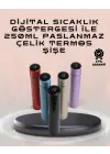 250ml LED Ekranlı Paslanmaz Çelik Akıllı Termos