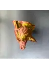 3D Jaguar Figürü Duvar Süsü