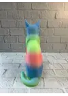 AÇIK RAİNBOW KEDİ
